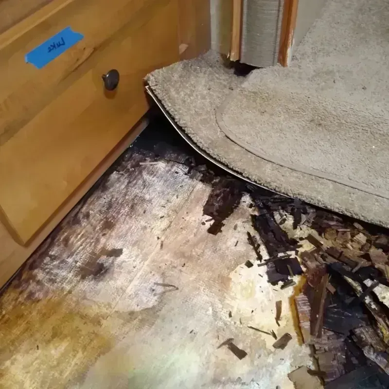 Wood Floor Water Damage in Bloomfield, NJ